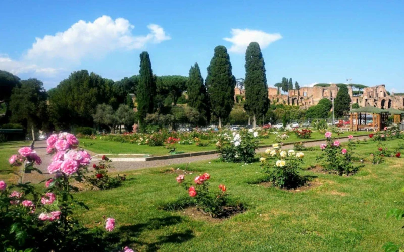Municipal-Rose-Garden-Articolo